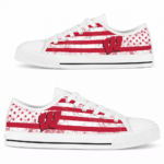 Wisconsin Badgers Distressed Flag Edition | Custom Low Top Shoes & Fan Gear